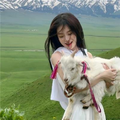 元首的面孔