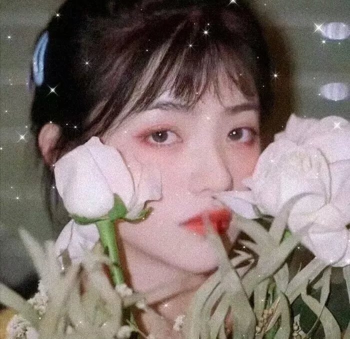 百合的故事